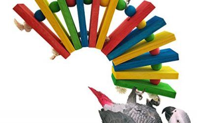 Juguete de mascar loro columpio pájaro puente Multicolor coloré Juego de madera suspendida para periquito Cockatiel Budgie