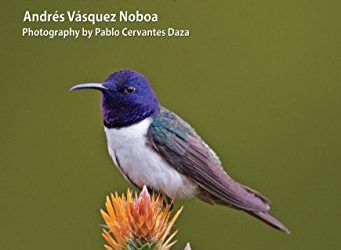 Wildlife of Ecuador: A Photographic Field Guide to Birds, Mammals, Reptiles, and Amphibians (Princeton University Press (WILDGuides)) , mascotas