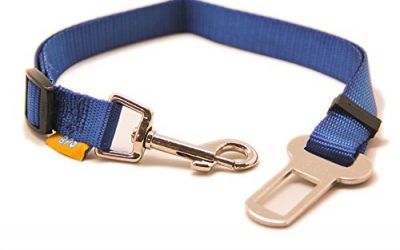 BPS(R)Cinturón de Seguridad de Coche ,Ajustable para Perro,Color:Azul Oscuro ,Azul Claro,Verde y Rojo,Safety Belt para Cachorro Gato Gata Mascotas Animales,Tamaño:(2.0 x 40/58cm).