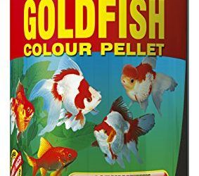 COMIDA PARA PECES DE AGUA FRIA MARCA TROPICAL COMIDA DE PECES 360G