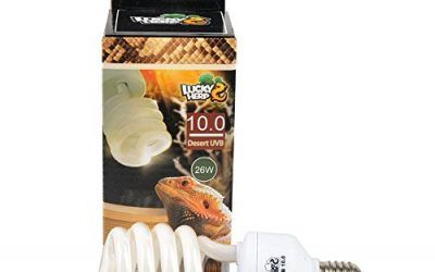 Bombilla fluorescente compacta para reptil UVA, UVB, 10.0, de 13 W y 26 W disponibles. , mascotas