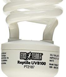 Exo Terra PT2187 Repti 5.0 – Bombilla de Bajo Consumo 25 W E27