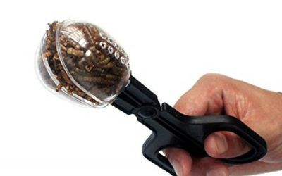 Bwogue herramienta de limpieza de alimentación de reptiles y reptiles para tanque de peces de acuario Terrario