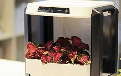 Aero Jardín Cosecha y Alimentos Hierbas Semillas Pod Set Máquina de Plantación Automática Smart Home Nursery Box Tamaño 417 * 316 * 446mm , mascotas