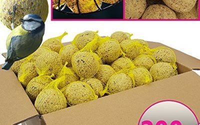 Bolas de grasa para pájaros – 200 bolas = 18 kg – Alimento natural con gran aporte energético para aves silvestres – Bolas de grasa con red individual para colgar