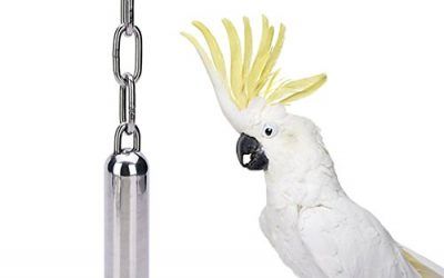 Juguete con sonido de campanas para aves, de acero inoxidable