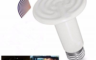 UEETEK Emisor de calor de cerámica Sin daños Sin luz Lámpara de calentamiento por infrarrojos Bombilla de calor de reptiles 150 W (Blanco)