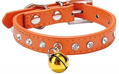 Leetop Collar Correa Cuero del Rhinestone PU Ajustable para el Gato Perro Perrito Collares,Cachorro y Collar de Gato(Orange) , mascotas