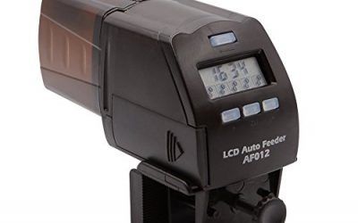 NICREW Acuario Alimentador Automático de Peces, Pantalla LCD Dispensador de Alimentos de Peces para Depósito de Peces