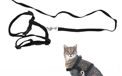 Ajustable Mascota Gato Gatito Plomo Correa Arnés de nylon cuello Cinturón Safty formación