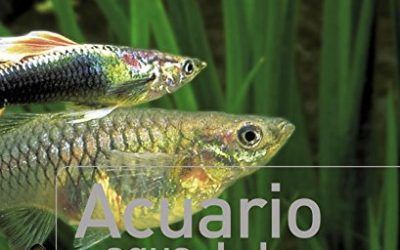 Acuario de agua dulce (Vida verde)