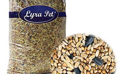 25 kg de alimentos de aves silvestres, mezcla premium. Comida para pájaros salvajes