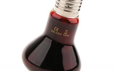 Gazechimp Calefactor Puede Generar Calor Infrarrojo Calentador de Mascotas Lámpara Caliente Reptiles – 100W