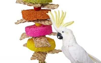 Natural Loofah pajita trenzado Masticar juguete para loro guacamayo africana Greys Budgies periquito Cockatiels cacatúa Conure amor pájaro jaula juguete
