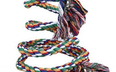 Kicode 1,5 / 2M Loro cuerda para mascotas bobina de aves Las perchas oscilación Cockatiel Conure Budgie W / Campana juguete jaula
