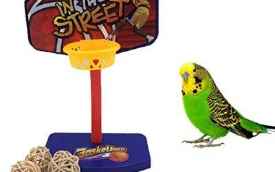 Mini canasta intelectiva de baloncesto para ave, juguete de entrenamiento para loro, guacamayo, gris africano, cacatúa o periquito