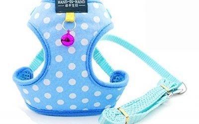 B-JOY Arnés de 2 piezas ajustable con correa, conjunto de chaqueta de tela con puntos, excelente para perros pequeños, cachorros, etc., 4 tallas azul Promedio