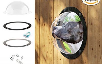Gardenscout – la portilla con vista al exterior para tu perro, gato e incluso hijo. Hecho de ojo de buey de vidrio acrílico caseta para perro, cercas, casitas de juego, casas del árbol o garajes Ø31,5cm