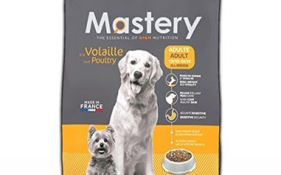 Mastery Comida para perros Adulto Aves De Corral, Comida Seca Para Adultos Perros – 3 kg