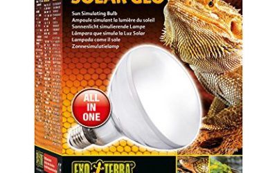 Exo Terra Solar Glo Vapor de Mercurio 80 W