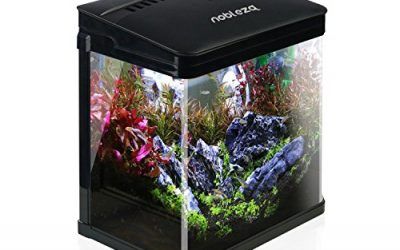Nobleza 029990 – Acuario de cristal con cubierta color Negro. Capacidad de 7L