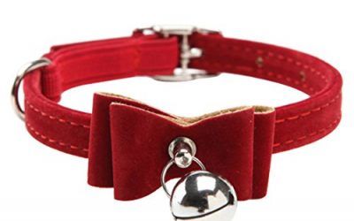 Negro Gatos Bell piel lazo ajustable gato mascota collares nueva moda