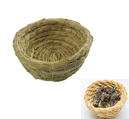 takestop Juego 2 Piezas Zarzamora Nido cesta cesta de cuerda 10 cm de colgar para pájaros pequeños animales roedores Criceti Pájaros