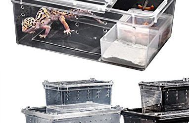 Criaderos portátiles para reptiles de Wear-Beauty, hábitat para: lagartos, salamanquinas, caracoles, ermitaños, crustáceos, ranas, lagartijas tortuguitas y serpientes