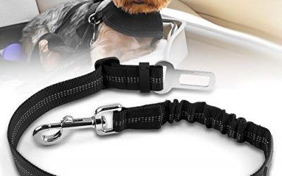 Poppypet Cinturón de Seguridad de Coche para Perros, Correa Perro Coche en Nylon Elástico Ajustable para Perros y Gatos, Máxima Comodidad (55-75cm) – Negro