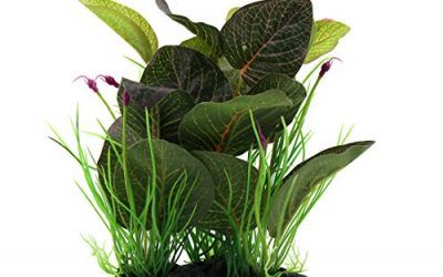 sourcingmap Verde De Plástico Adorno De Hojas De Las Plantas Del Terrario Para Reptiles Y Anfibios