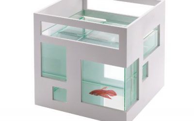 Umbra 460410-660 Pecera de cristal Fishhotel , mascotas