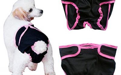 Freebily Pañal Reutilizable Lavable para Mascota Perro Gato Cachorro Braguita Grande Ajustable Permeable al Aire Negro XS