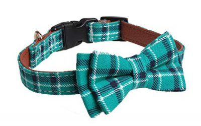 per Collares para Perros y Gatos Collar para Mascotas Pequeños Correas Decorativos con Lazos Lindos para Perro Gatitos y Conejos