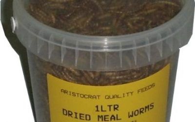 Frasco de 1 litro de gusanos de la harina secos, para aves silvestres , mascotas