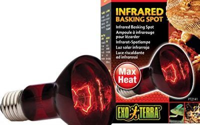 Exo Terra Infra-Rojo Nocturno Heat Glo, 50 W