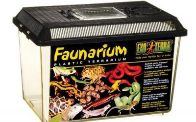 Exo Terra Terrario de Plástico Faunarium Mediano
