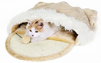 Taoking – Cama con refugio para gatos grandes, calefacción