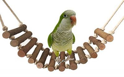 Madera Escalera Pájaro Grande Columpio Juguete para Loro Grises Africanos Cacatúa Macaw Periquito Periquito Cockatiels Conure Lovebird Pinzón Rata Gerbil Conejillo de Indias Jaula de perca