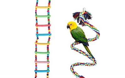 UEETEK 2 piezas coloridas escaleras de aves juguetes / Set, escaleras flexibles de 12 pasos de madera Rainbow Bridge oscilaciones y cuerdas de aves 1M escalera de loros Juguetes accesorios de la jaula para loros mascotas de capacitación