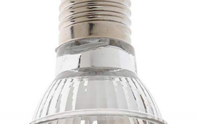 Homyl Lámpara de Calor para Mascotas Accesorios Colocar Casa de Reptiles Cómodo – 75W , mascotas