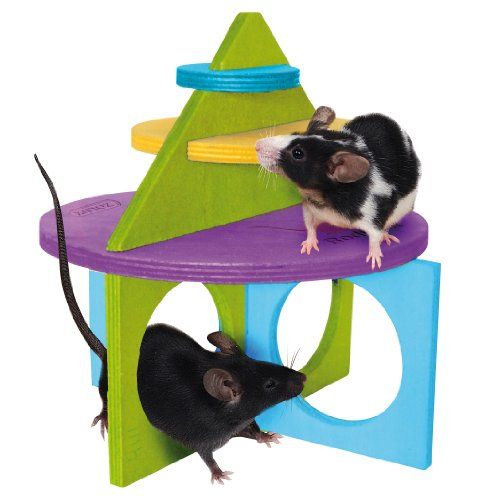 ZOLUX Área de juegos de madera rody’ Kit Mini 2 para pequeños roedores (gerbilles, hámster, ratón)
