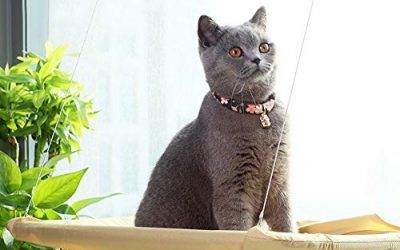 Aurantiaco – 1 Cama Colgante para Gato, Asiento Soleado, Gato o Cachorro, para Montar en la Ventana, Cama para Mascotas, Hamaca, Cama para Gatito