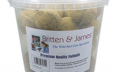 Britten & James 40 Bolitas de Grasa de Primera Calidad Conveniente Tina con Cierre hermético Que no se ensucia. Uno de los Alimentos energéticos más concentrados y de fácil metabolización. , mascotas