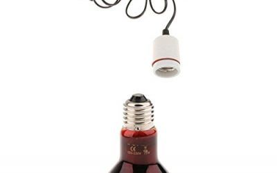Baoblaze Lámpara de Calor de Terrarios de Reptiles Bombilla de Luz Roja de Calentamiento E27 Base Portalámpara – 75W