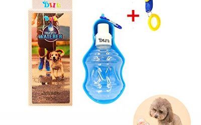 DIIL – Botella de Agua Plegable para Perro o Gato, para Viajes, con Mosquetón, para Exteriores