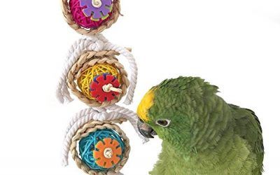 Keersi Juguete para picar para pájaros, ideal para loros, guacamayos africanos, periquitos grises, y cacatúas