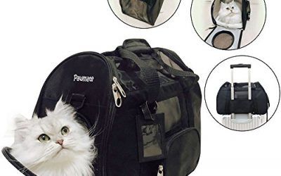 Bolsa gato Bolsa de transporte Bolsa de viaje Bolsa de transporte de alta calidad Bolsa de transporte para perros Gatos