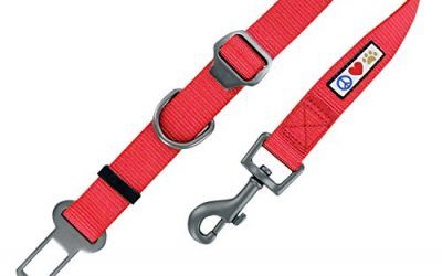 Pawtitas Cinturón de seguridad de coche para perros con correa de sujeción para mascotas color rojo , mascotas