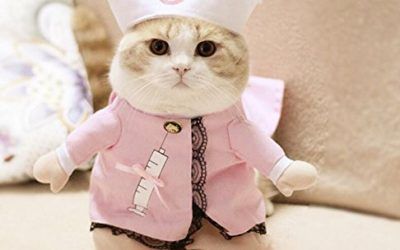PvxgIo Disfraz de Mascota Convertido en Ropa para Gatos Talla 5