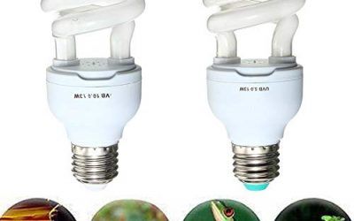 Bombilla UVB compacta en espiral de 13 W UVB 5.0/10.0. Para reptiles (serpiente, tortuga de agua y de tierra), lagartos e insectos selváticos. De FSSJCKX